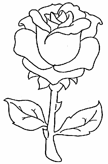 Rose coloring pages Rose with stems that are armed with sharp prickles