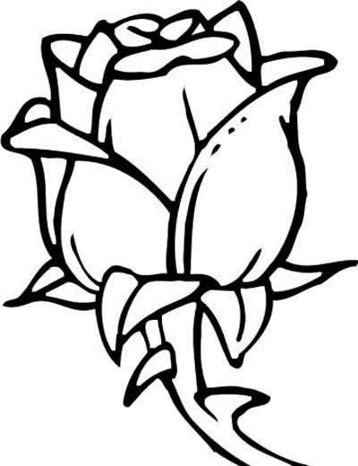 Sketch Rose Flower