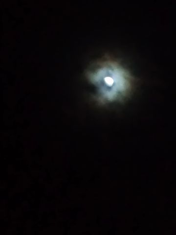 moon-yoru.jpg