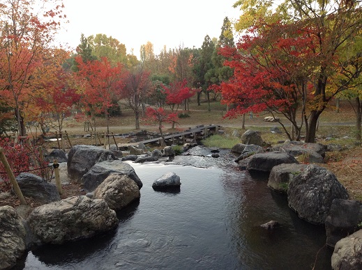 鶴見緑地滝の紅葉