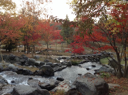 鶴見緑地滝と紅葉