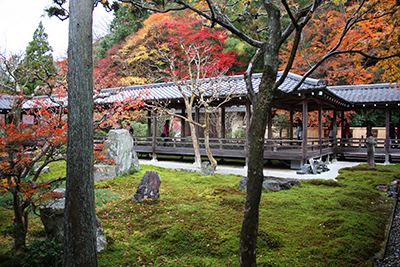 南禅寺方丈の紅葉
