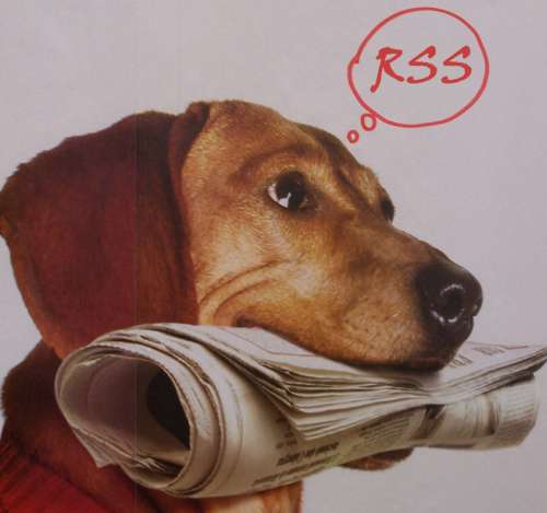Newspaper dog thinking RSS - 無料写真検索fotoq
