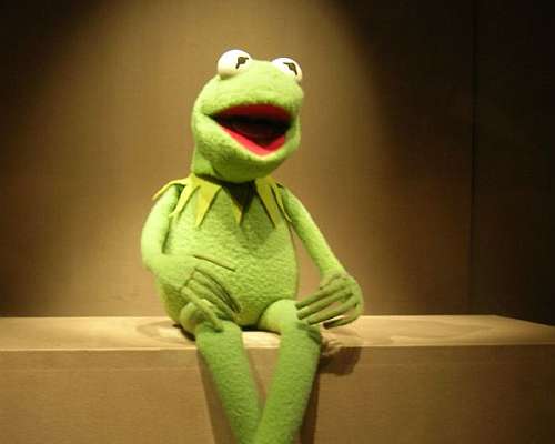 Kermit The Frog - 無料写真検索fotoq