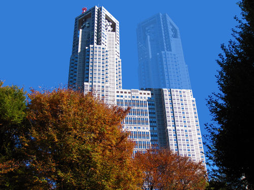 東京都庁と紅葉 (Autumn Leaves and Tokyo Metropolitan Government) - 無料写真検索fotoq