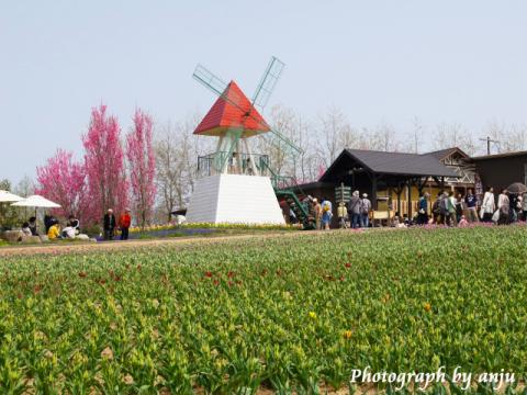観光農園　世羅高原農場　その２　広島県世羅町
