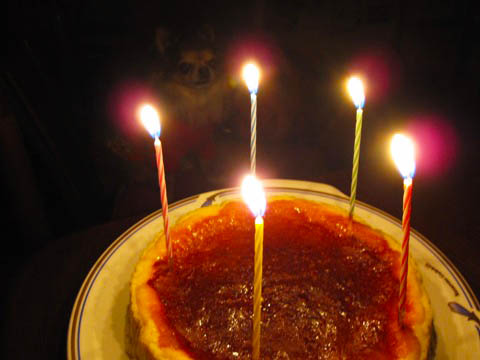 誕生日でもチーズケーキ(^^ゞ