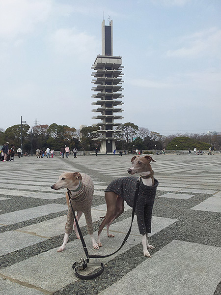 駒沢管制塔