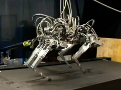 ウサイン・ボルトより足が速いチーター型ロボット「Cheetah」