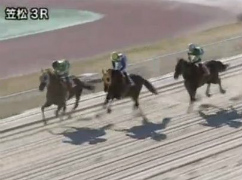 レース不成立となった笠松競馬3R（2011年1月7日）