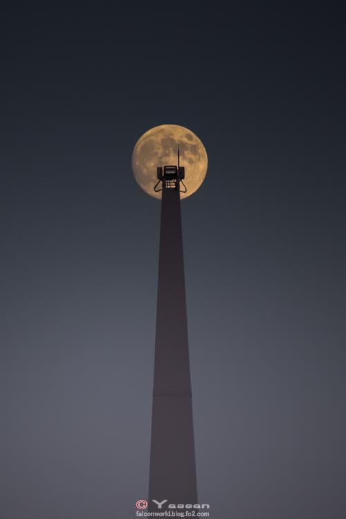 満月の塔141007-8480_convert_20141019211402
