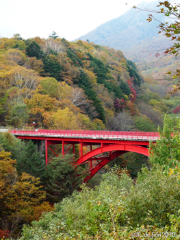 赤い橋と紅葉