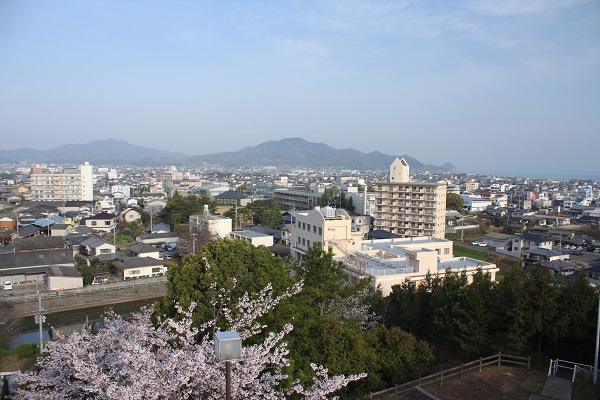 前山公園　桜