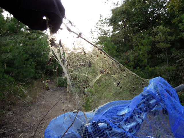 バイクトレッキングに最適　蜘蛛の巣シールド