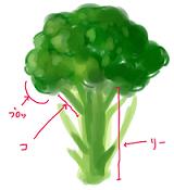 broccoli01