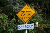 ツシマヤマネコに注意　の道路標識