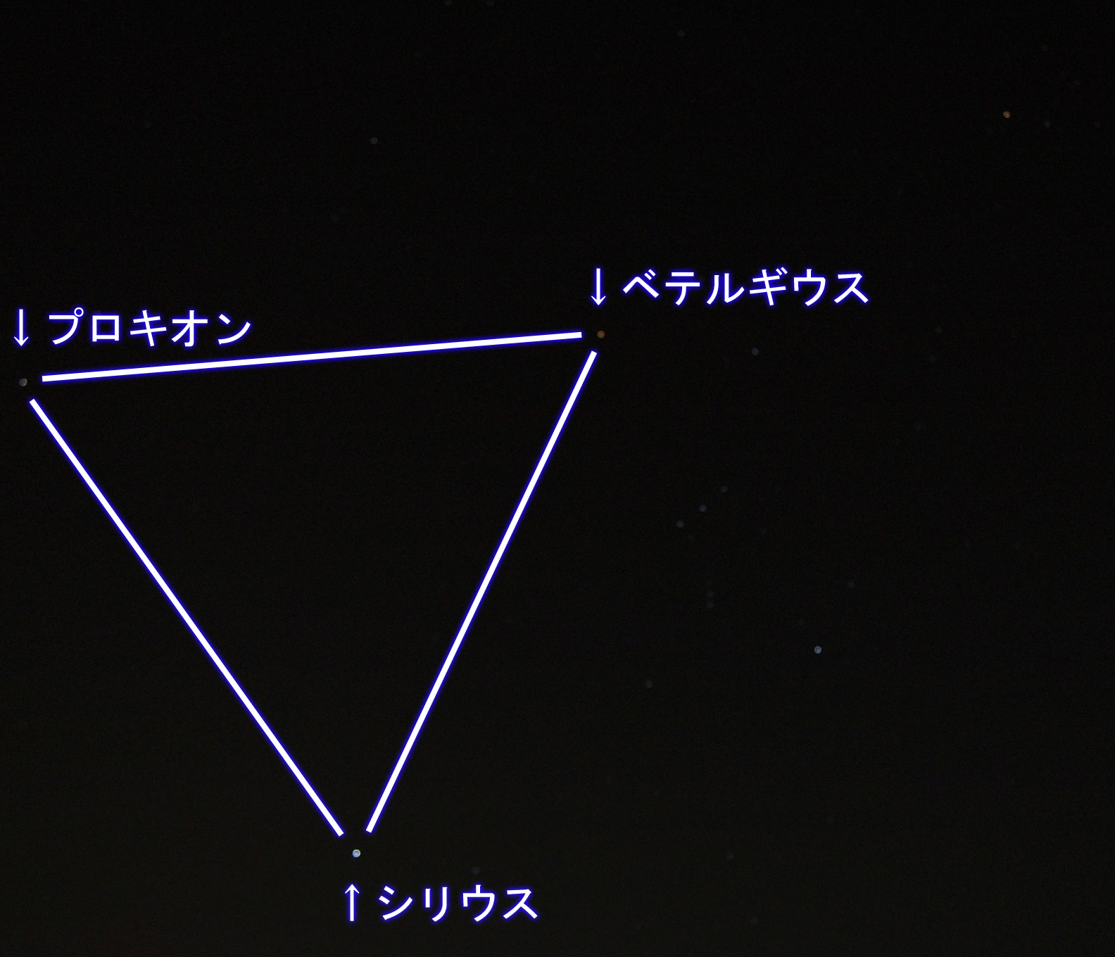 ボヤけ冬の大三角形m