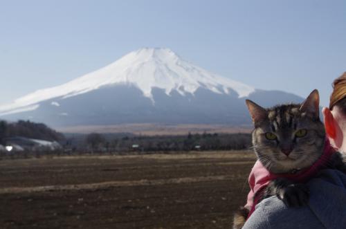 ぽかぽか陽気の富士山02