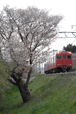 蒲郡線桜2012b