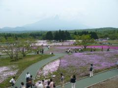 富士本栖湖リゾートの展望台から富士山