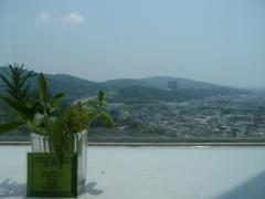 松田山ハーブガーデンレストランからの眺め