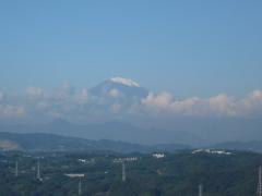 湘南平のテレビ塔から見た富士山