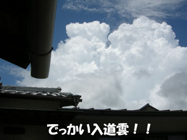 入道雲