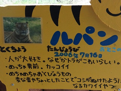 徳島動物園　トラ　説明