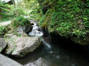 20100509_岡山県真庭市_神庭の滝自然公園 玉垂の滝01s