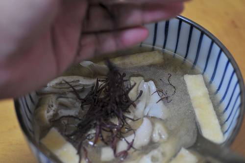 dried seaweed in kazamaura-vilage, 250304 2-3_s