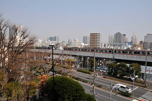 city view from mt fuji hill in shinagawa shrine, 250310 2-10_s