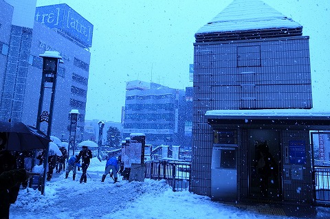 2013-01-14 2013初雪 012