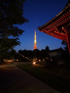 東京タワー　画像