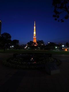 東京タワー　写真
