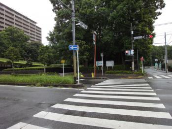 横断歩道を渡ると行田公園が見えてきます。