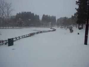 パーク池　雪景色