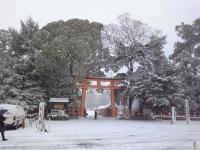 上賀茂神社も大雪