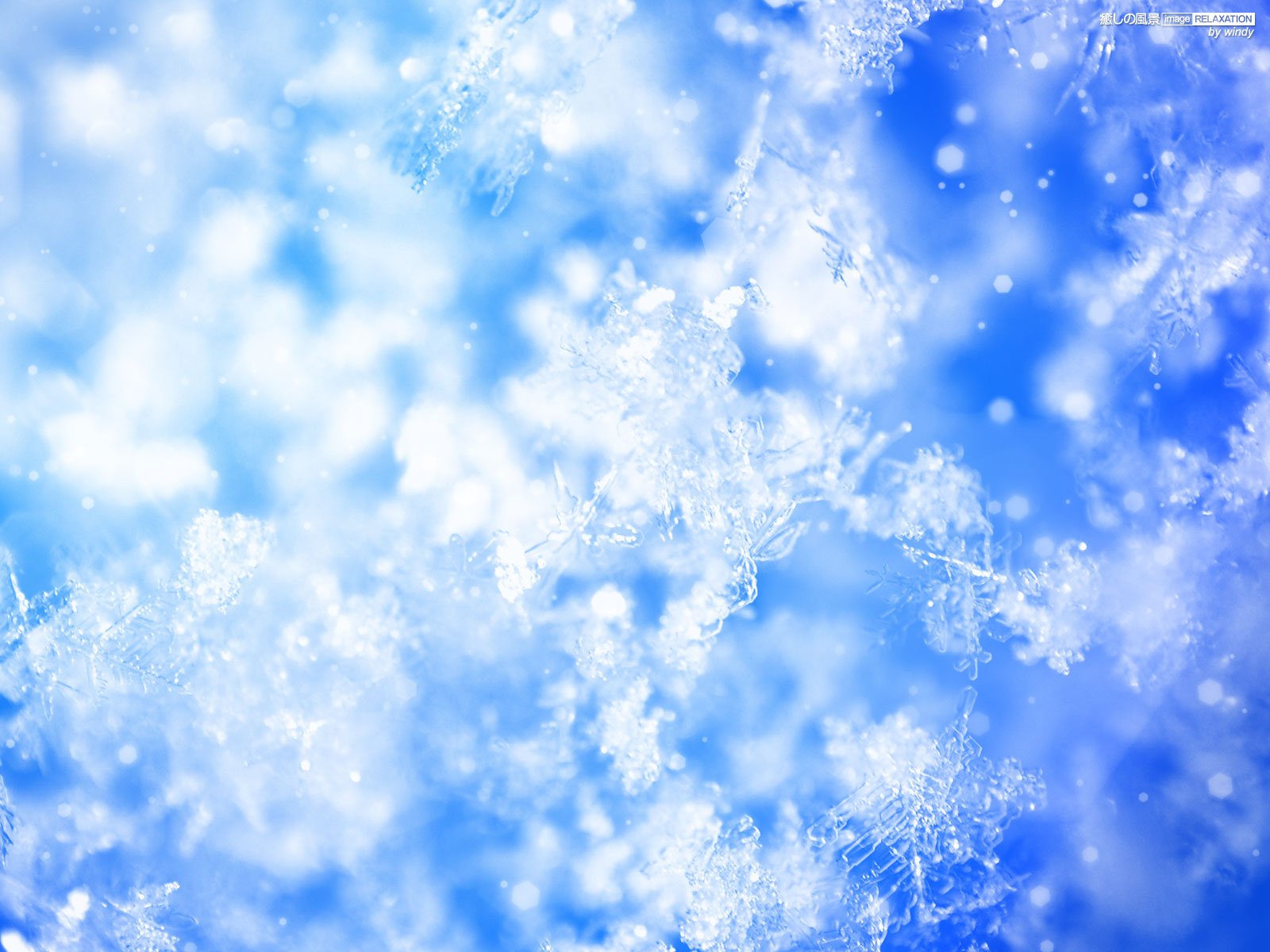 雪の結晶 壁紙 ブルー系