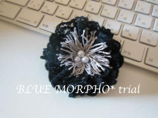 bluemorpho.trial.2012.12.26
