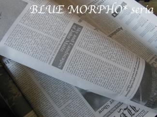bluemorpho.seria.2012.12.28.1