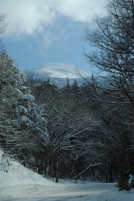 20130115山雪景色 (14)
