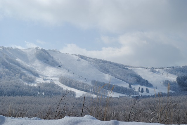20130115山雪景色 (15)