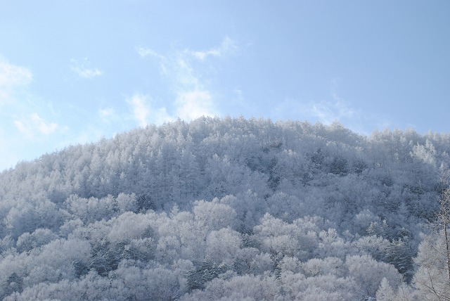 20130115山雪景色 (17)