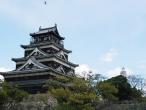 327広島城とカモメ