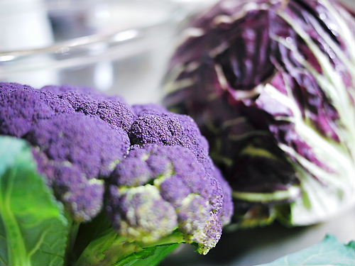 1229 紫の野菜