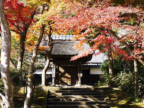 鎌倉　円覚寺　居士林
