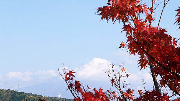 富士見川ＳＡ